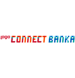 netsis connect banka